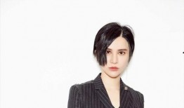 明星黑料社,明星黑料社獨家爆料，真相與謠言的較量