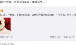 明星資訊是什么意思,揭秘娛樂圈最新動態(tài)