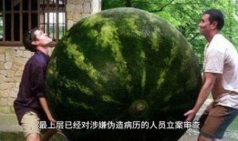 網(wǎng)絡(luò)大瓜,揭秘娛樂圈幕后真相，帶你走進(jìn)明星隱私世界