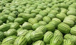 今日吃瓜熱門大瓜每日更新,緊跟熱門大瓜，揭秘娛樂圈最新動(dòng)態(tài)