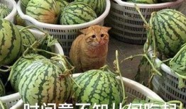 52吃瓜爆料免費(fèi)吃瓜視頻,免費(fèi)暢享熱門吃瓜視頻盛宴