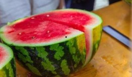 吃瓜長清大學(xué)體育生,校園生活新篇章