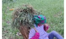 網(wǎng)紅小英被曝大瓜,背后真相令人震驚