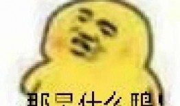 吃瓜表情包,揭秘網(wǎng)絡時代的幽默密碼