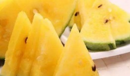 黑瓜吃料網(wǎng),揭秘美食背后的故事與營養(yǎng)秘密