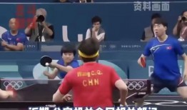 體育圈不是飯圈,超越飯圈，聚焦運動精神