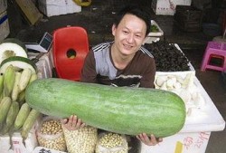 52每日大瓜視頻,揭秘娛樂圈幕后故事，帶你領(lǐng)略明星真實(shí)生活