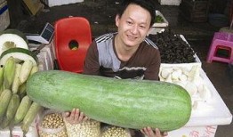 52每日大瓜視頻,揭秘娛樂圈幕后故事，帶你領(lǐng)略明星真實(shí)生活