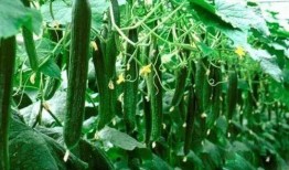 必吃大瓜今日大瓜,今日熱門話題大盤點(diǎn)