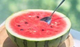 吃瓜網(wǎng)官網(wǎng)免費(fèi)觀看,熱門劇集一網(wǎng)打盡！