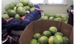 在線吃瓜--今日大賽,今日大賽精彩瞬間大盤點(diǎn)