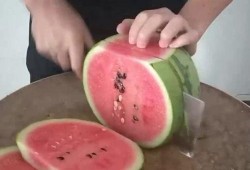 近期吃瓜視頻,近期熱門(mén)視頻盤(pán)點(diǎn)