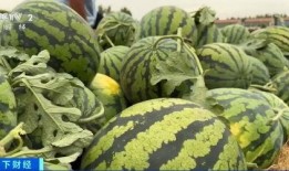 熱點(diǎn)吃瓜,吃瓜群眾如何解讀明星事件