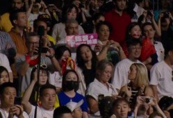 體育圈粉絲,激情燃燒的歲月，熱血沸騰的追隨