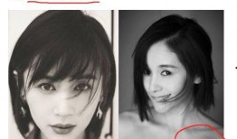 明星黑料最新,明星黑料曝光，真相背后引人深思