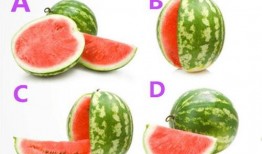 52每日大瓜視頻,揭秘娛樂圈幕后故事，帶你領略明星真實生活