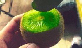 抖音網(wǎng)紅吃瓜泄密 吃瓜爆料,吃瓜泄密背后的娛樂圈風(fēng)云