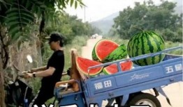 最近大瓜事件,揭秘明星隱私風(fēng)波背后的真相