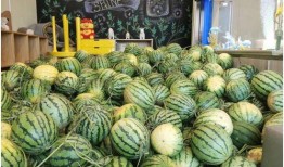 今日吃瓜官網(wǎng),揭秘娛樂圈最新熱點(diǎn)，帶你暢游八卦海洋