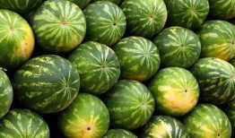 熱點吃瓜,吃瓜群眾如何解讀明星事件