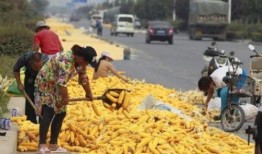 社會(huì)熱點(diǎn)話題事件在哪里找 體育圈的天花板 爆料網(wǎng)吃瓜黑料反差入口,體育圈天花板、爆料網(wǎng)黑料與反差入口的交織