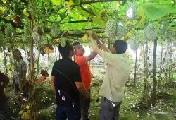 瓜瓜基地,綠色生態(tài)農(nóng)業(yè)的璀璨明珠