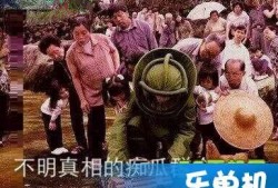 朝陽(yáng)吃瓜群眾什么意思,網(wǎng)絡(luò)熱詞背后的社會(huì)現(xiàn)象