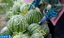 網(wǎng)紅大瓜博雅吃瓜視頻最全觀看,全網(wǎng)最全大瓜集錦，一網(wǎng)打盡網(wǎng)紅熱點(diǎn)