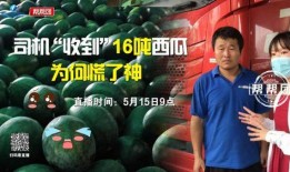 今日吃瓜完整版免費,完整版免費放送，熱點追蹤不容錯過