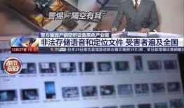 maskpark事件,科技巨頭隱私爭議背后的真相