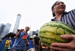 今日吃瓜每日更新朝陽群眾,今日吃瓜，每日更新，揭秘娛樂圈風(fēng)云