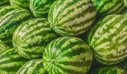 吃瓜視頻每日大賽 吃瓜網(wǎng)官網(wǎng),每日大賽精彩回顧，揭秘?zé)衢T吃瓜瞬間