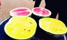 52吃瓜爆料免費(fèi)吃瓜視頻,免費(fèi)暢享熱門吃瓜視頻盛宴