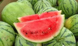 今日吃瓜官網(wǎng),揭秘娛樂圈最新熱點，帶你暢游八卦海洋