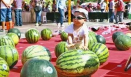 在線吃瓜--今日大賽,今日大賽精彩瞬間大盤點(diǎn)