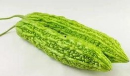 56吃瓜網(wǎng),揭秘娛樂圈最新熱點(diǎn)，帶你領(lǐng)略明星幕后故事