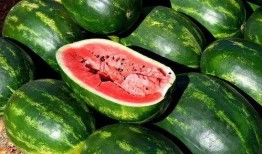 今日吃瓜的圖片素材,揭秘娛樂圈最新熱點(diǎn)事件