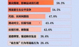 體育圈飯圈化,粉絲經(jīng)濟下的新現(xiàn)象解析