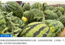 瓜老師,開啟人生新篇章