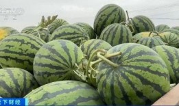 熱點(diǎn)吃瓜,吃瓜群眾如何解讀明星事件