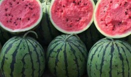 吃瓜網(wǎng)官網(wǎng)免費(fèi)觀看,熱門劇集一網(wǎng)打盡！