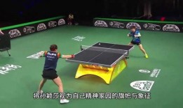 體育圈粉絲,激情燃燒的歲月，熱血沸騰的追隨